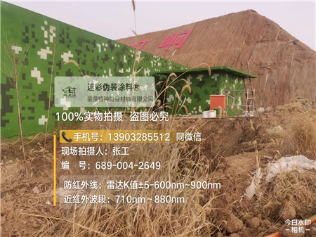 山南星空迷彩墙施工队