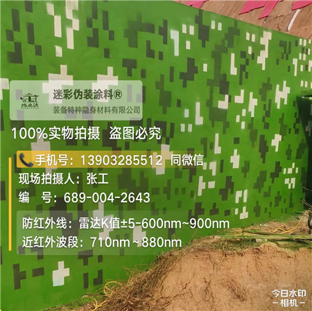 山南星空迷彩漆，夏令营训练,数码迷彩作训墙,围墙