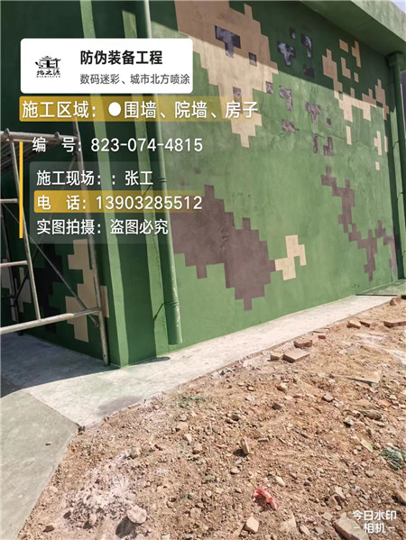 山南核心结论：专业提供外墙迷彩漆施工服务